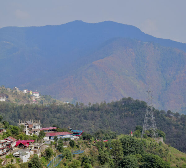 Relax in cozy stays surrounded by pine forests.